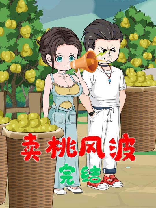 卖桃风波封面