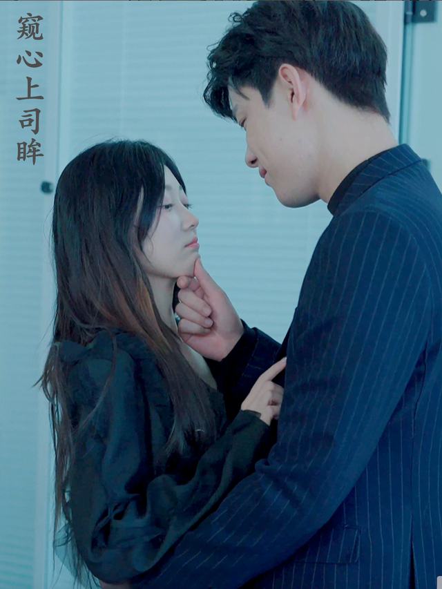 窥心上司眸封面