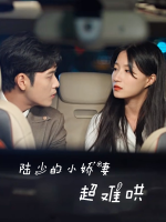 陆少的小娇妻,超难哄封面
