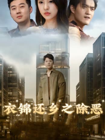 衣锦还乡之除恶封面