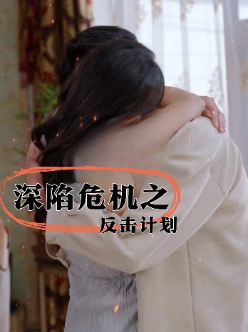 深陷危机之反击计划封面