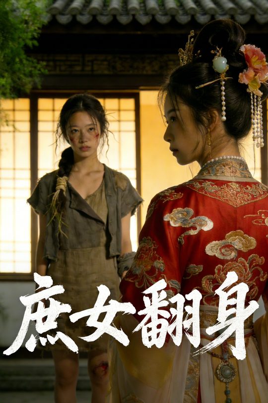 庶女翻身封面
