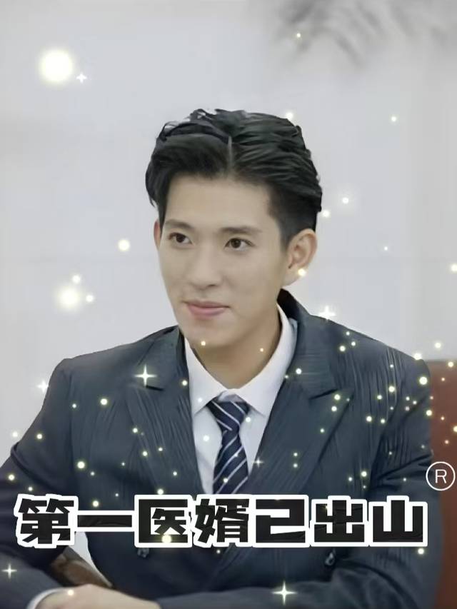 第一医婿已出山封面