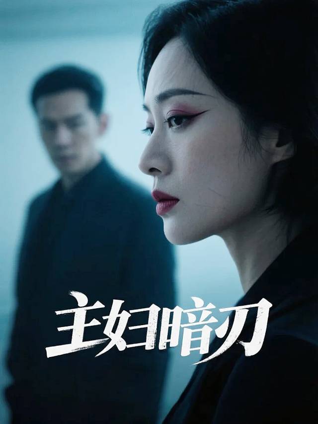 主妇暗刃封面