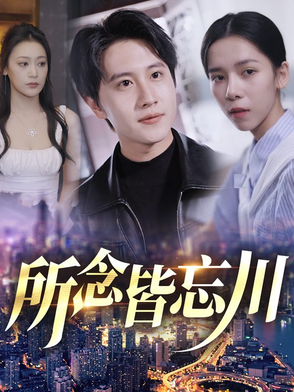 所念皆忘川封面