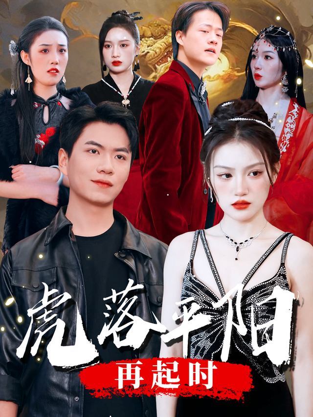 虎落平阳再起时封面
