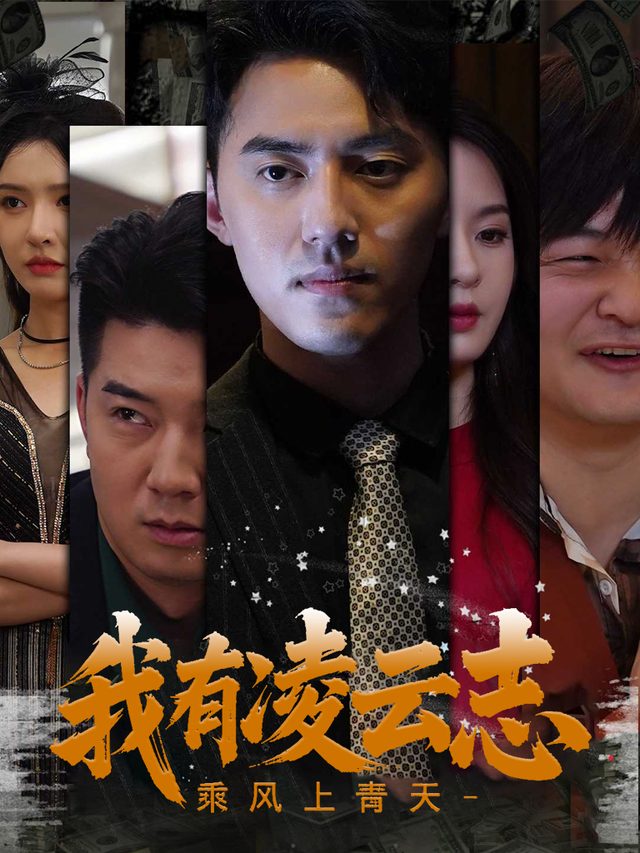 我有凌云志,乘风上青天封面