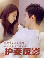 护妻夜影封面