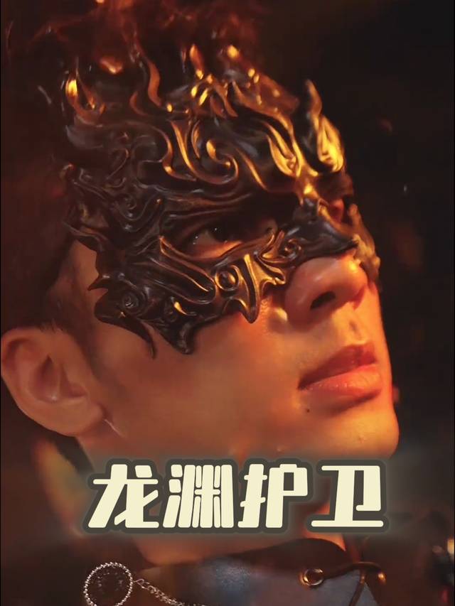 龙渊护卫封面