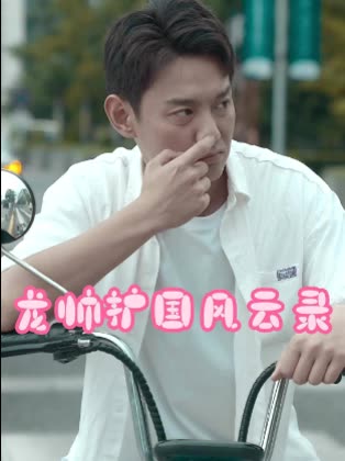 龙帅护国风云录封面