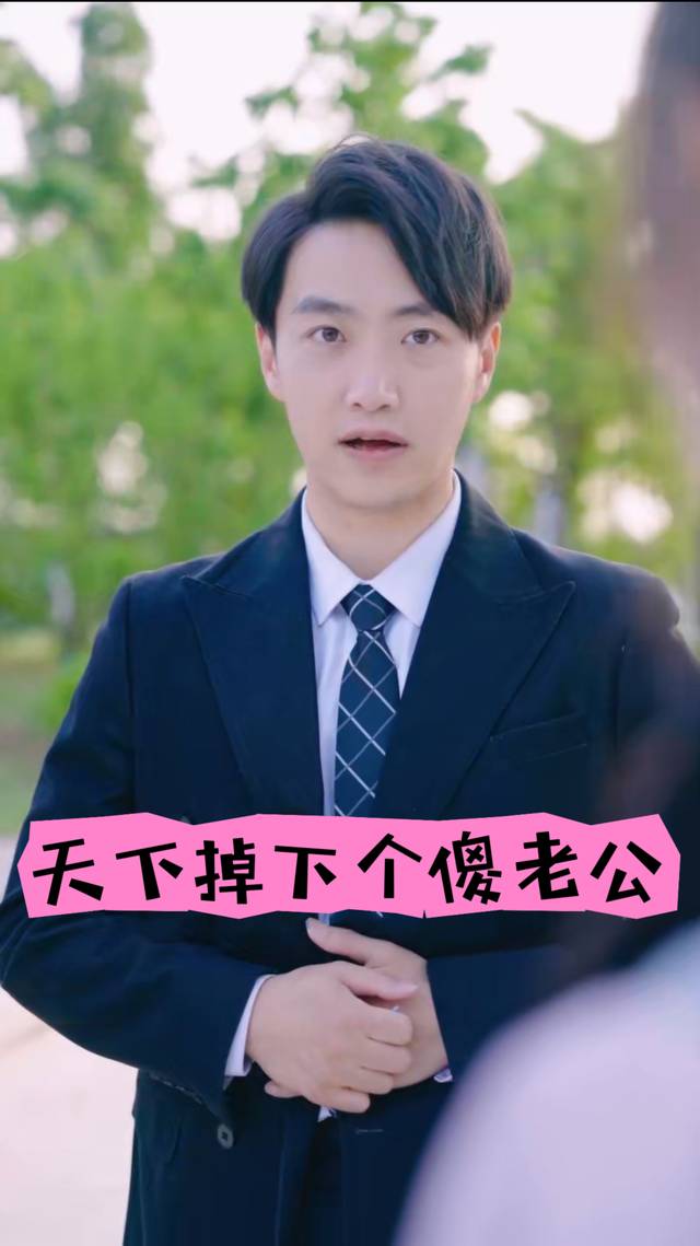 天下掉下个傻老公封面