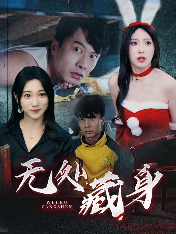 无处藏身封面