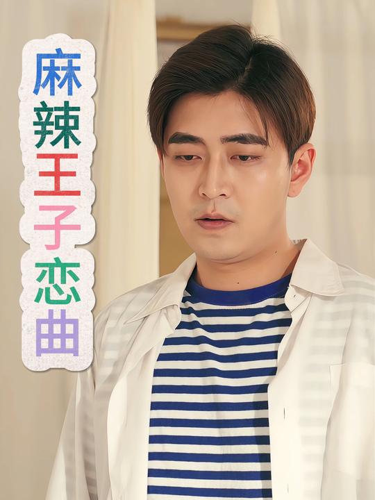 麻辣王子恋曲封面