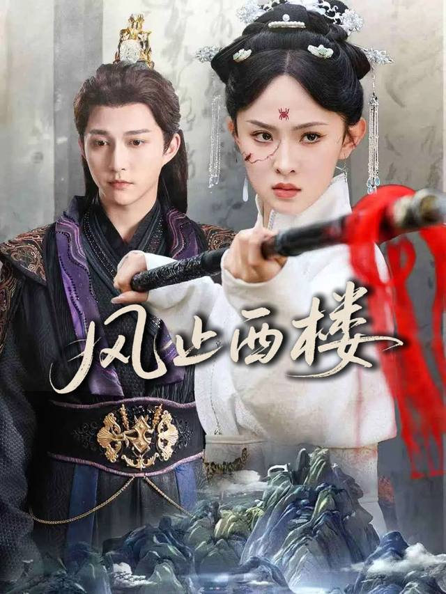 风止西楼封面