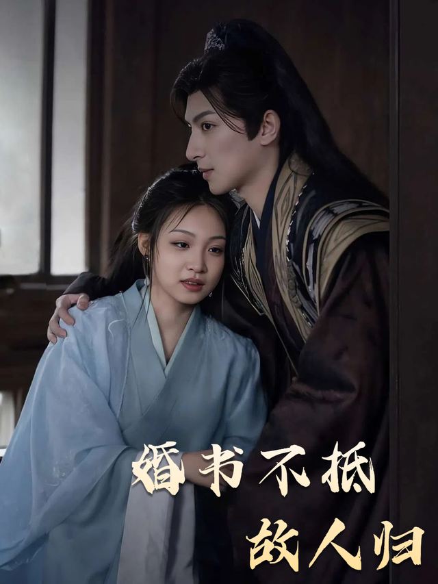 婚书不抵故人归封面