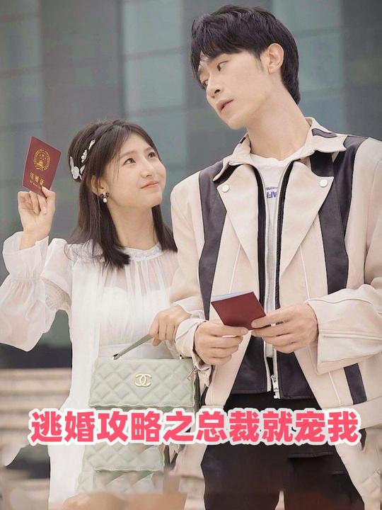 逃婚攻略之总裁就宠我封面