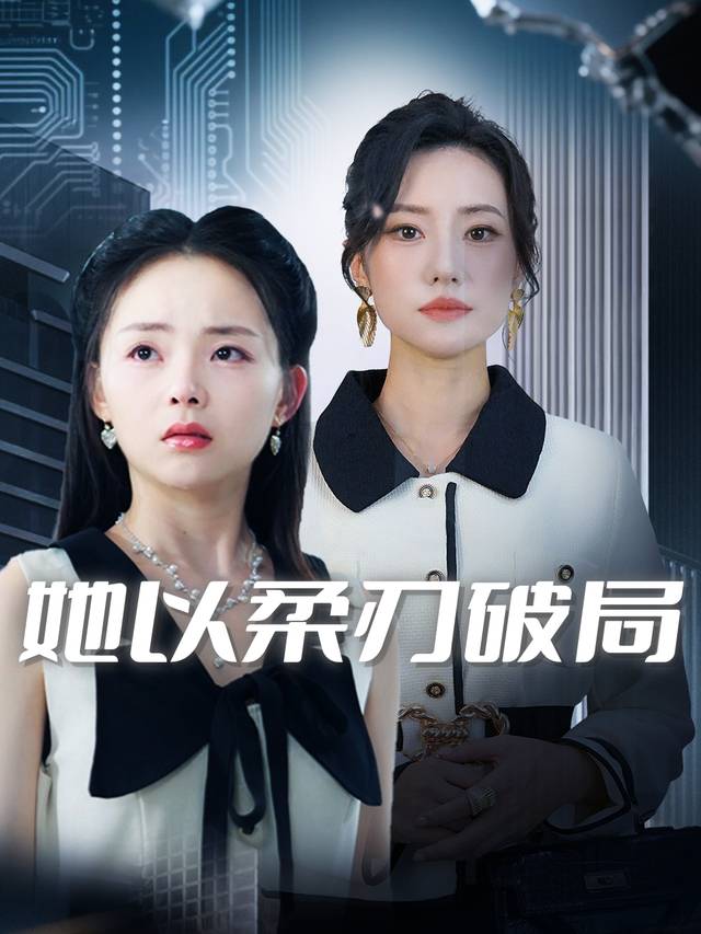她以柔刃破局封面