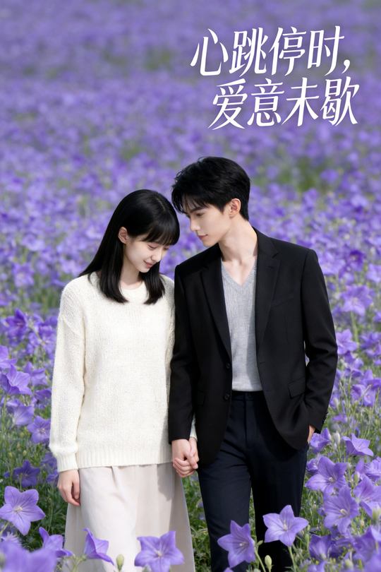 心跳停时,爱意未歇封面