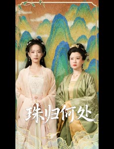 珠归何处封面