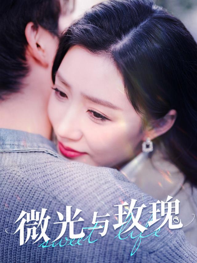 微光与玫瑰封面