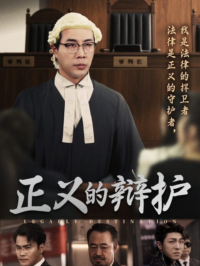正义的辩护封面