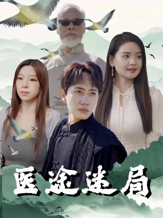 医途迷局封面