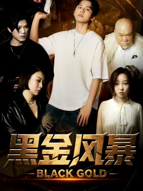 黑金风暴封面