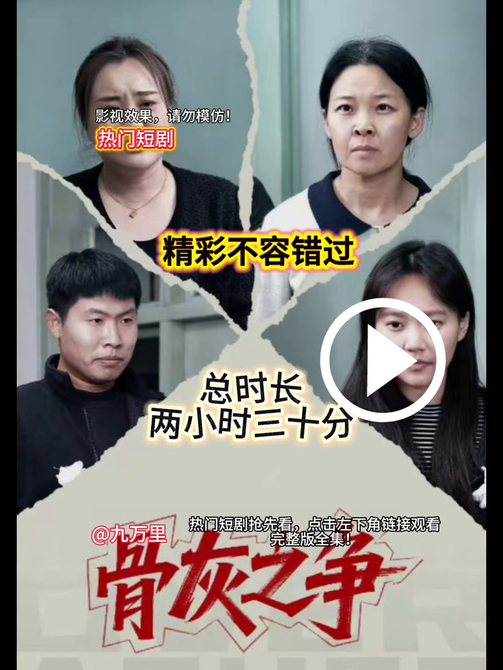 骨灰之争封面
