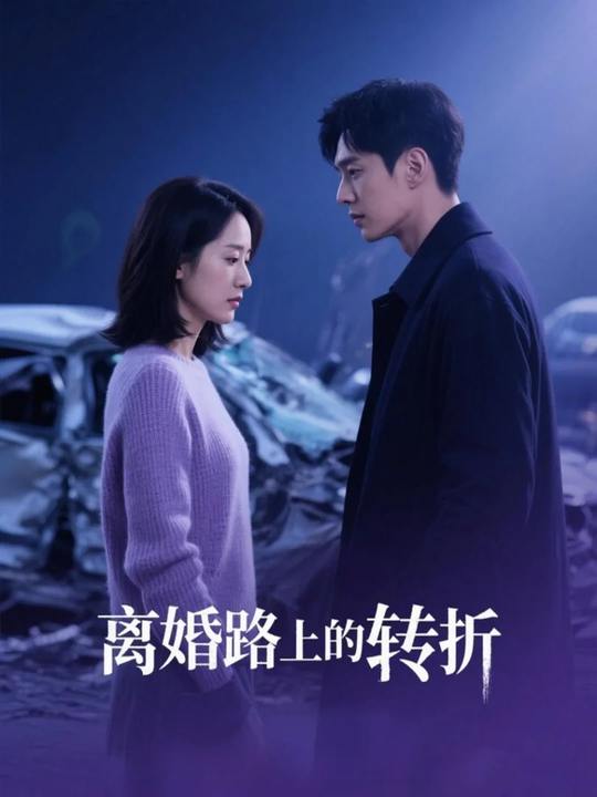 离婚路上的转折封面