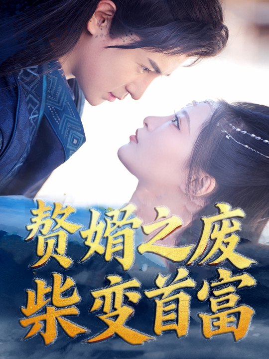 赘婿之废材变首富封面