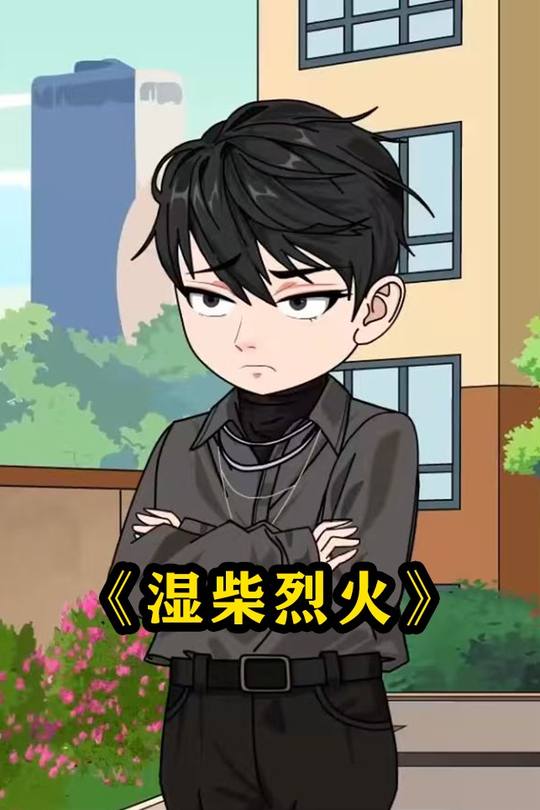 湿柴烈火封面