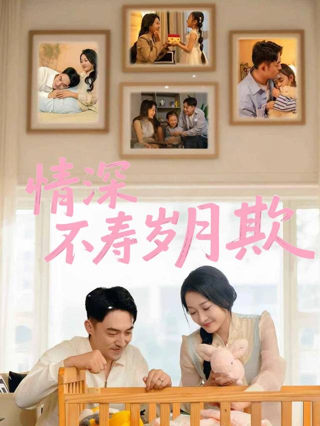情深不寿岁月欺封面