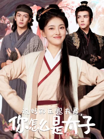 说好的压寨夫君你怎么是太子封面