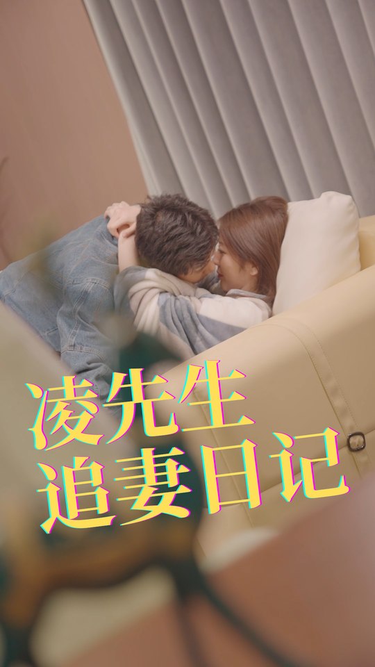 凌先生追妻日记封面