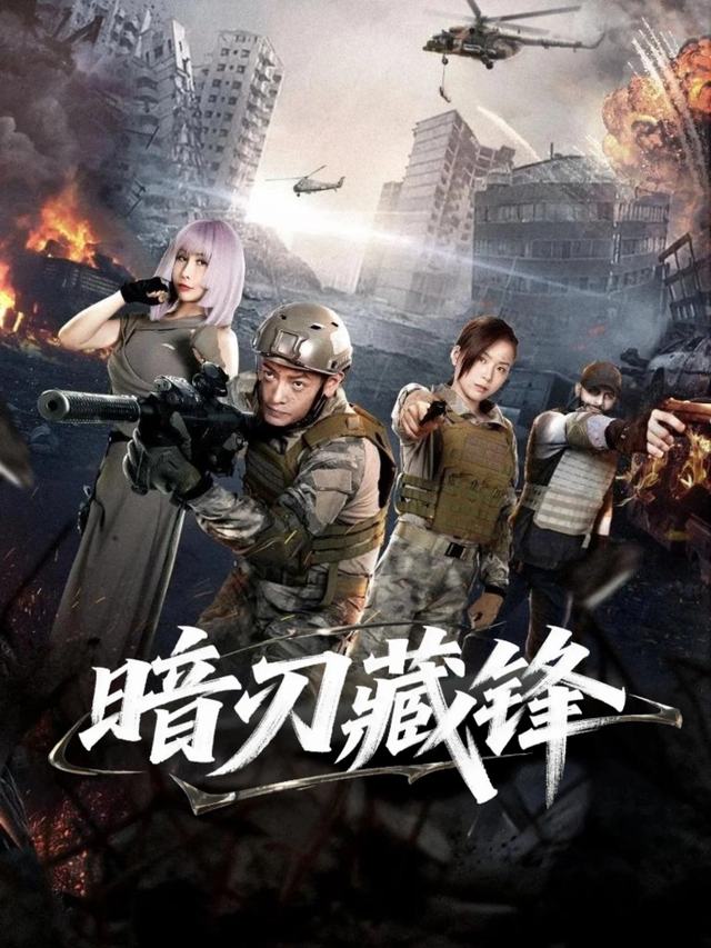 暗刃藏锋封面
