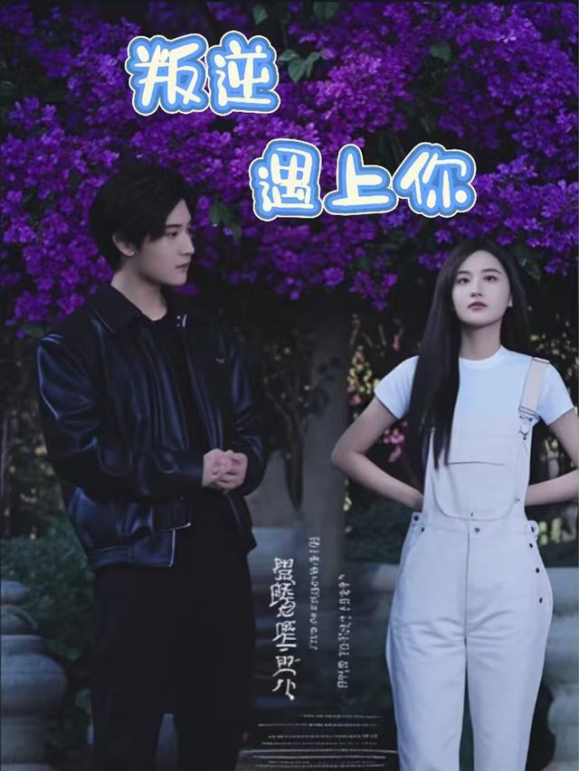 叛逆遇上你封面