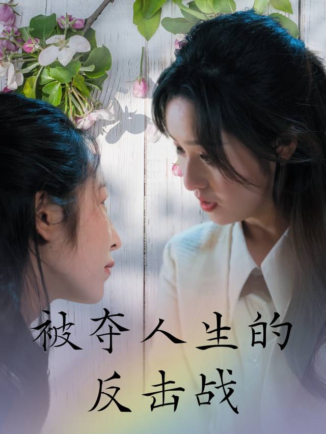 被夺人生的反击战封面