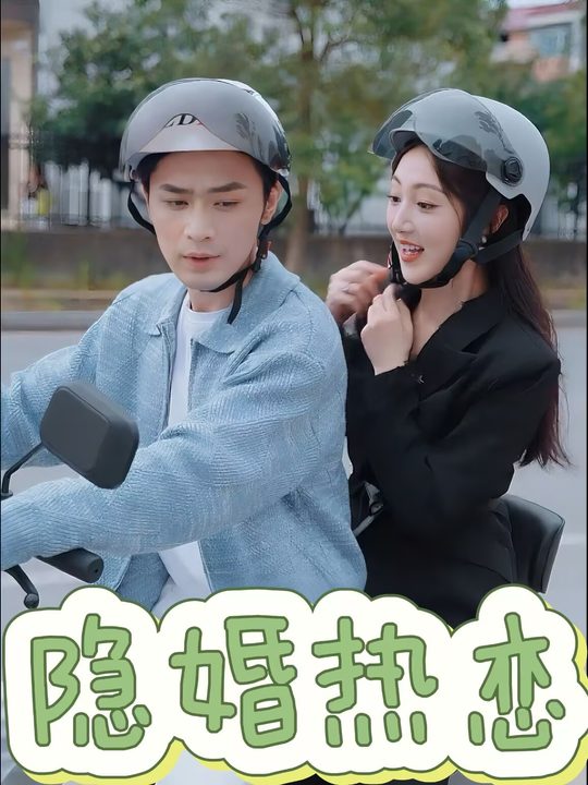 隐婚热恋封面