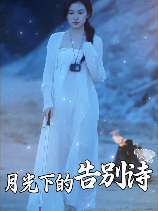 月光下的告别诗封面
