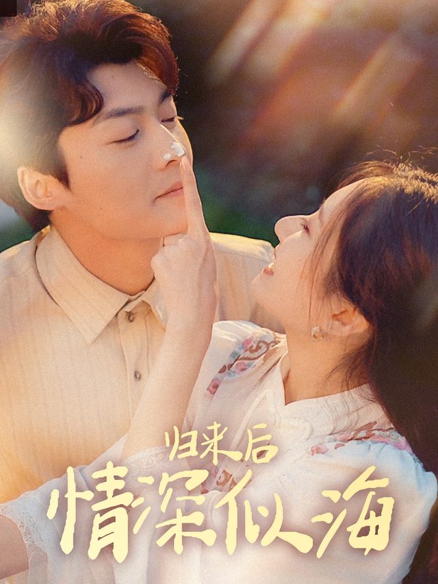 归来后情深似海封面