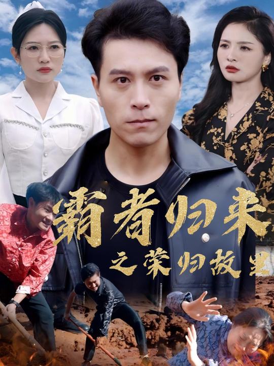 霸者归来之荣归故里封面