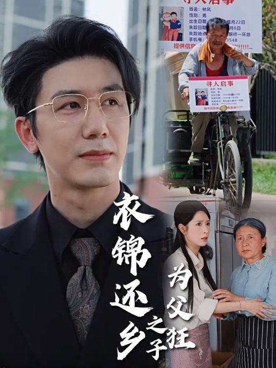 衣锦还乡之子为父狂封面