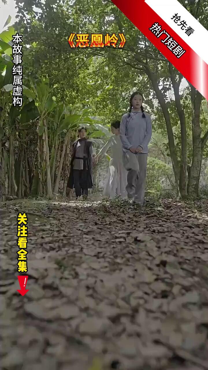 恶凰岭封面
