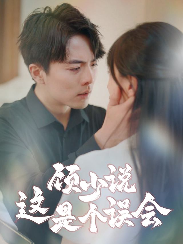 顾少说这是个误会封面