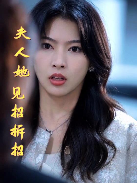 夫人她见招拆招封面
