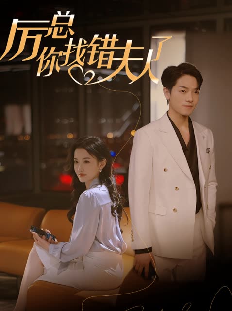 厉总你找错夫人了封面