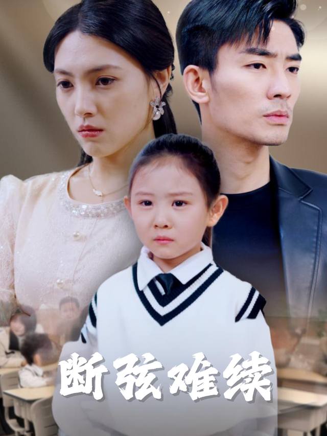 断弦难续封面
