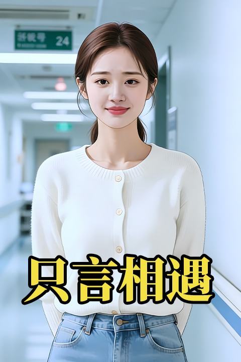 只言相遇封面