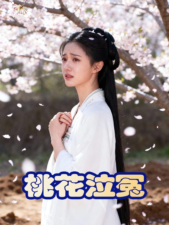 桃花泣冤封面