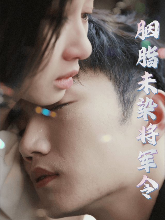胭脂未染将军令封面